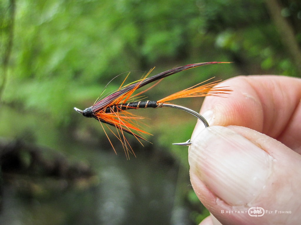 Ambiance-automne-Elorn-BrittanyFlyFishing-10