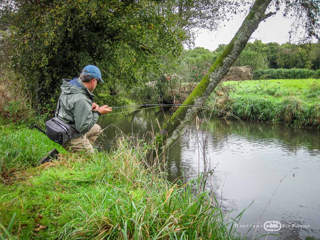 Ambiance-automne-Elorn-BrittanyFlyFishing-21