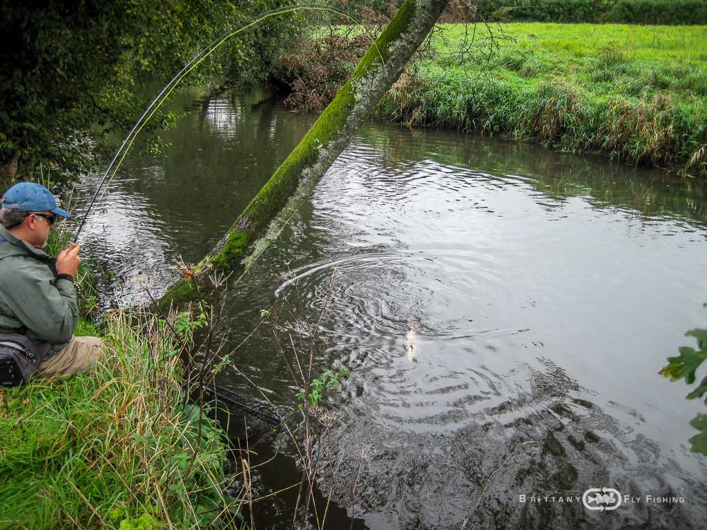 Ambiance-automne-Elorn-BrittanyFlyFishing-22