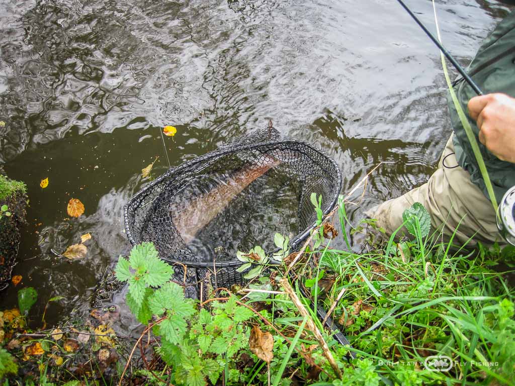 Ambiance-automne-Elorn-BrittanyFlyFishing-24