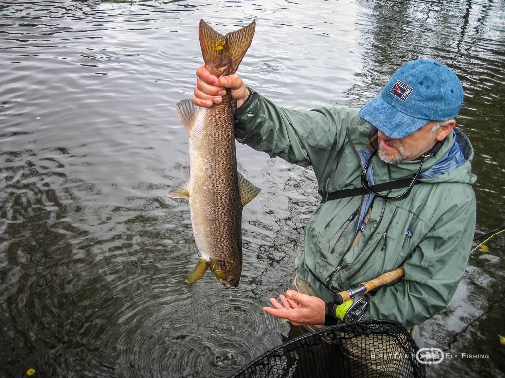 Ambiance-automne-Elorn-BrittanyFlyFishing-27