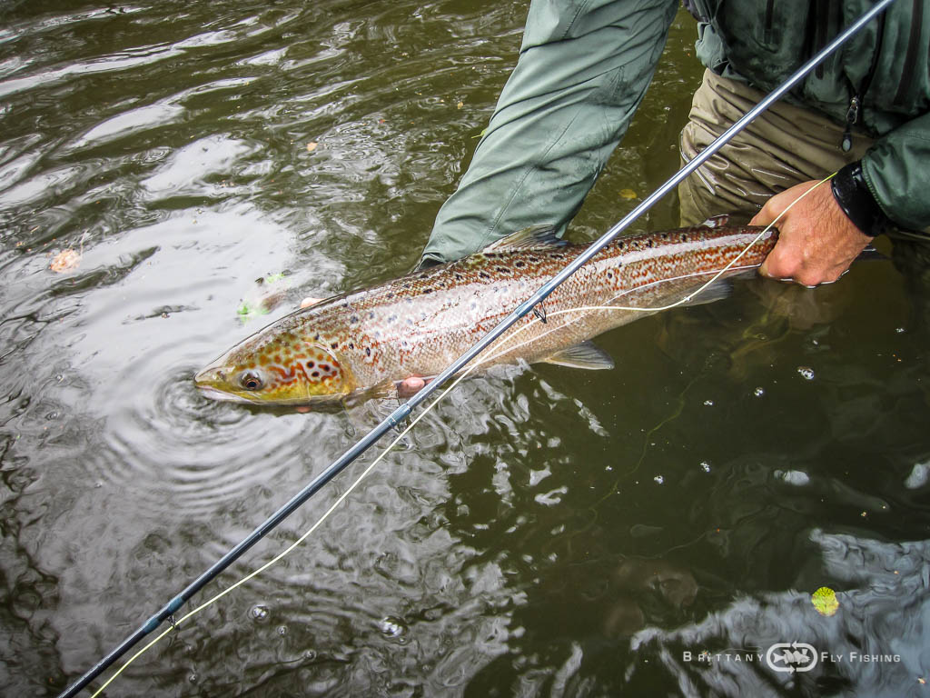 Ambiance-automne-Elorn-BrittanyFlyFishing-28