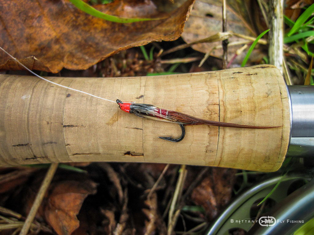 Ambiance-automne-Elorn-BrittanyFlyFishing-35