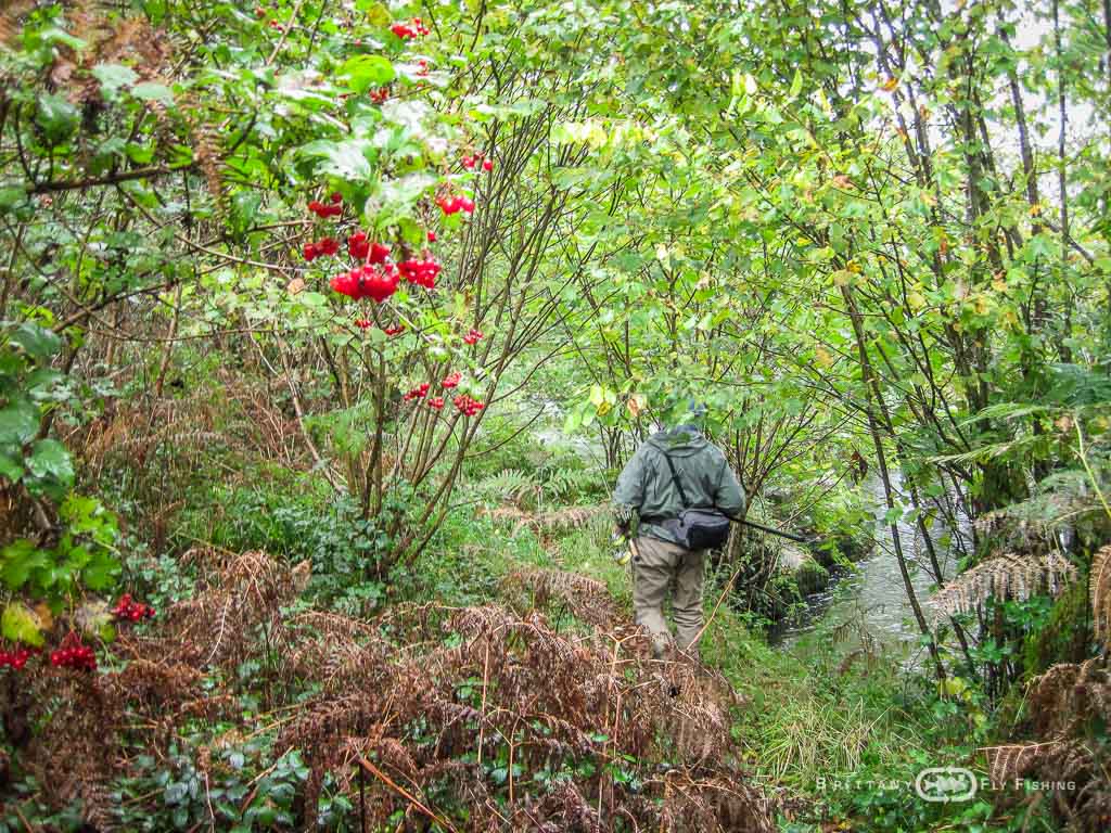 Ambiance-automne-Elorn-BrittanyFlyFishing-8