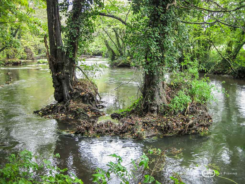 Ambiance-automne-Elorn-BrittanyFlyFishing-9