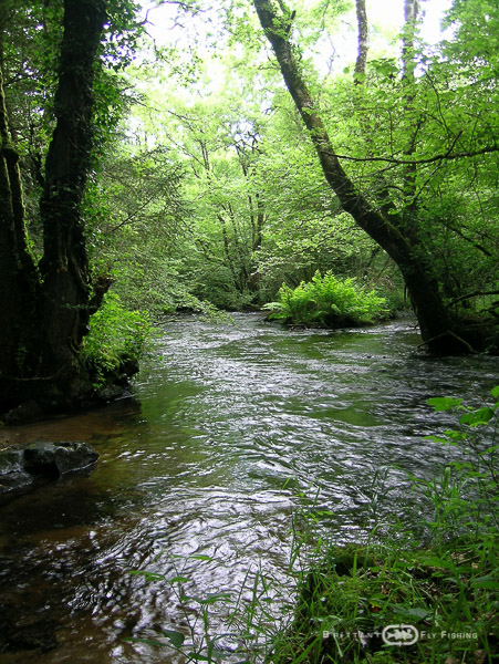 Saumons-Leguer-BrittanyFlyFishing-1