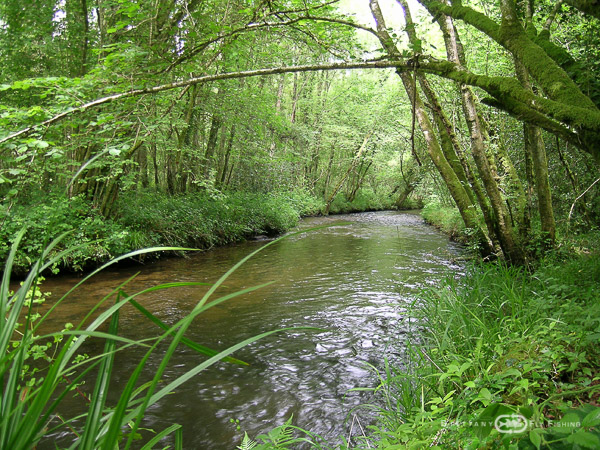 Saumons-Leguer-BrittanyFlyFishing-2