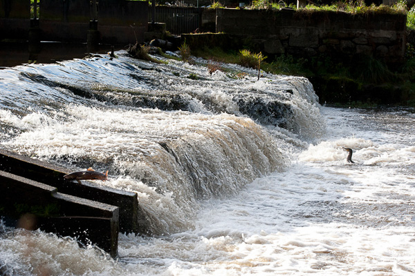 Saumons-Leguer-BrittanyFlyFishing-4