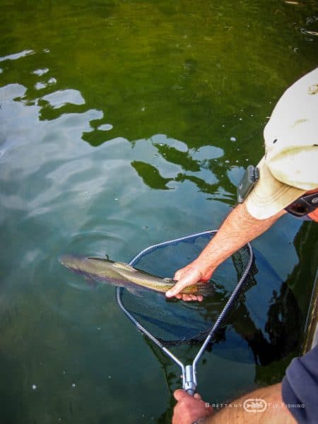 Learn to Catch Trout Fly Fishing Lakes, Stillwaters, Ponds and Lochs-NC,  learn fly fishing 