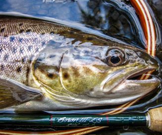 Materiel-eau-douce-Brittany-Fly-Fishing-11 Materiel-eau-douce-Brittany-Fly-Fishing-11