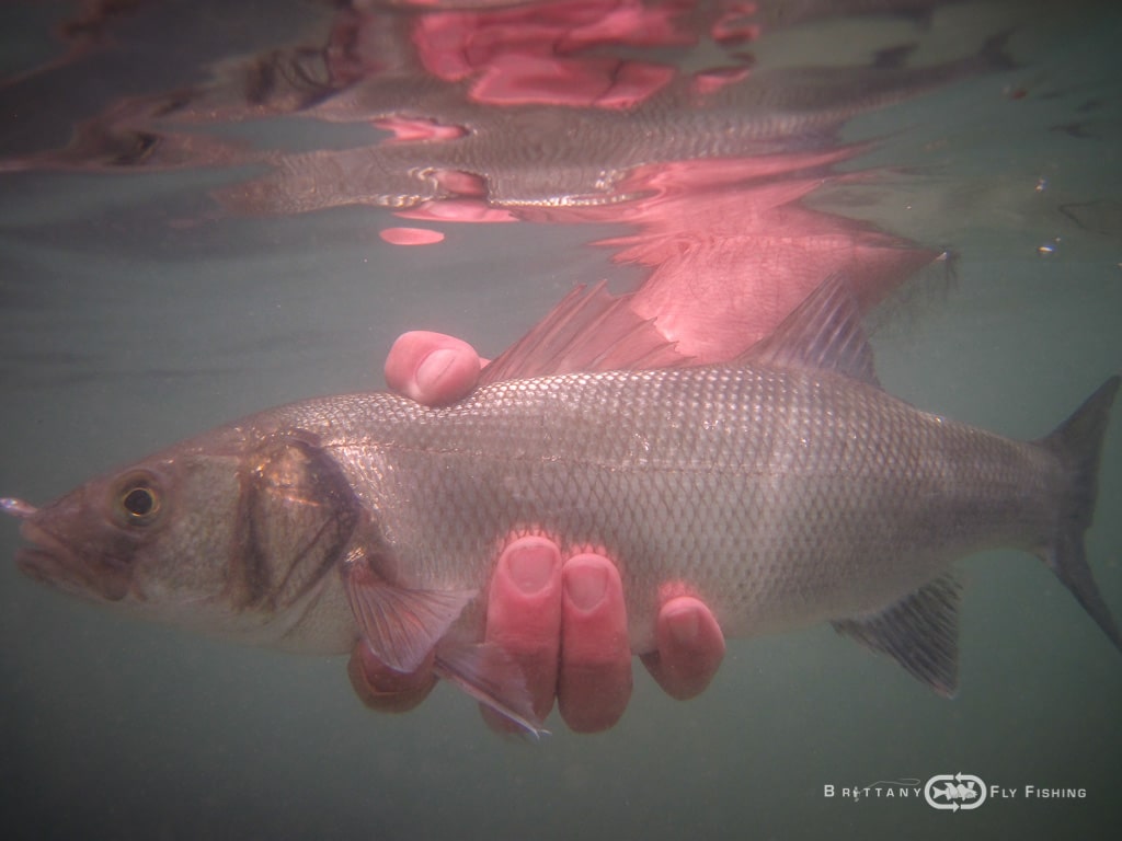 Baie-de-Morlaix-Brittany-Fly-Fishing-11