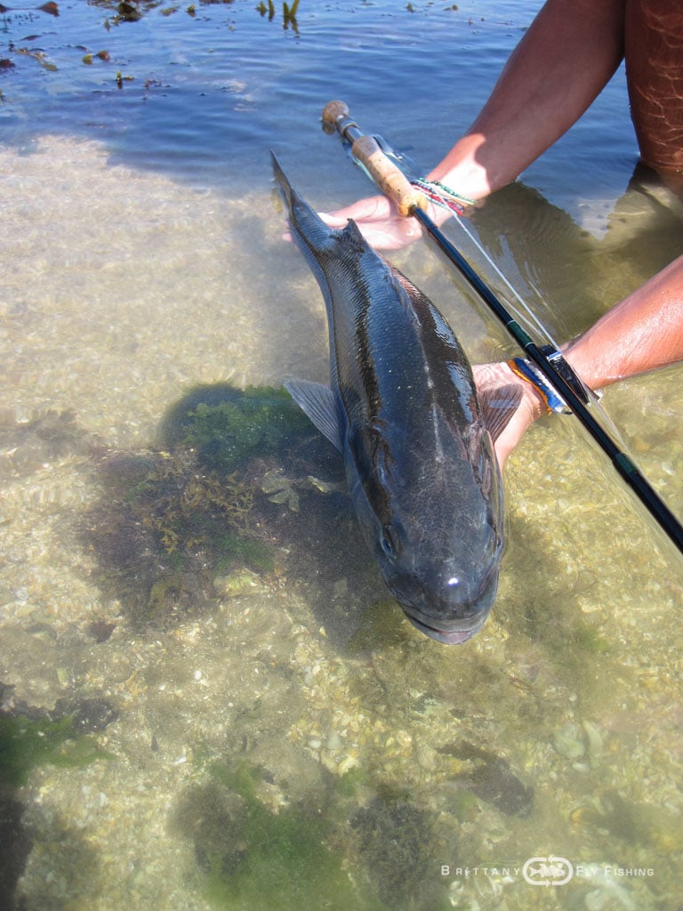 Baie-de-Morlaix-Brittany-Fly-Fishing-11