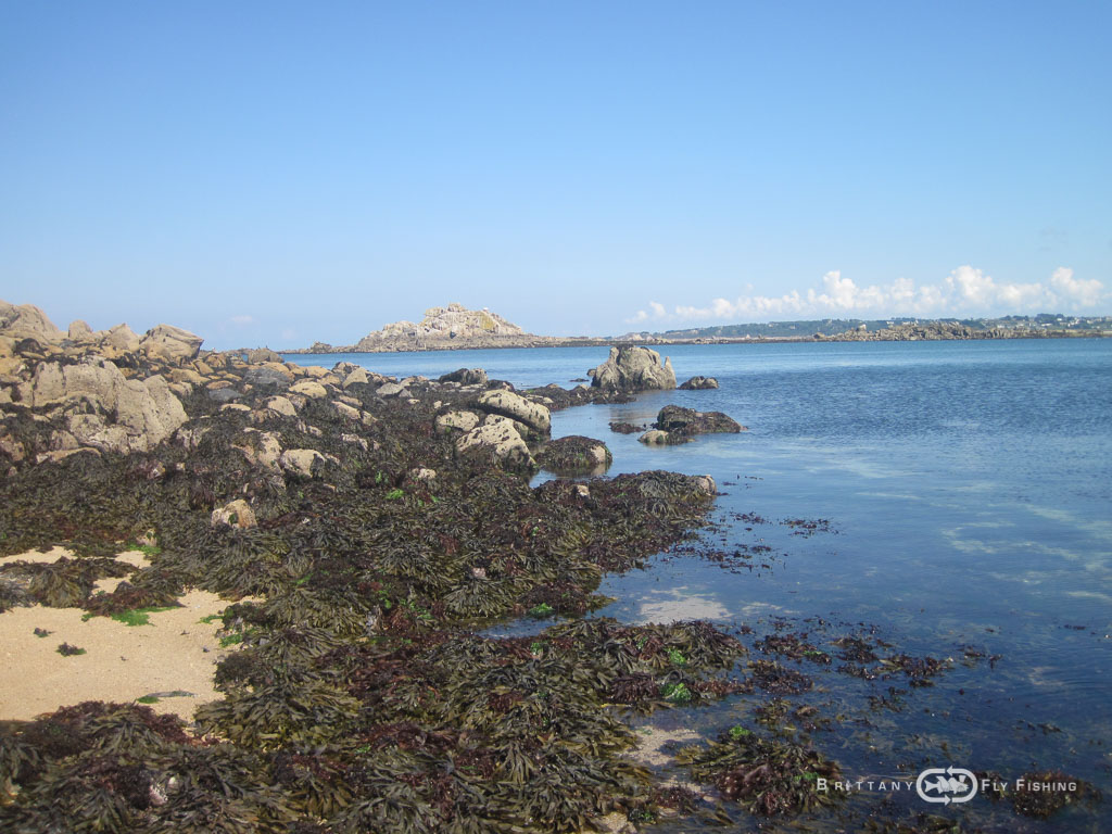 Baie-de-Morlaix-Brittany-Fly-Fishing-12