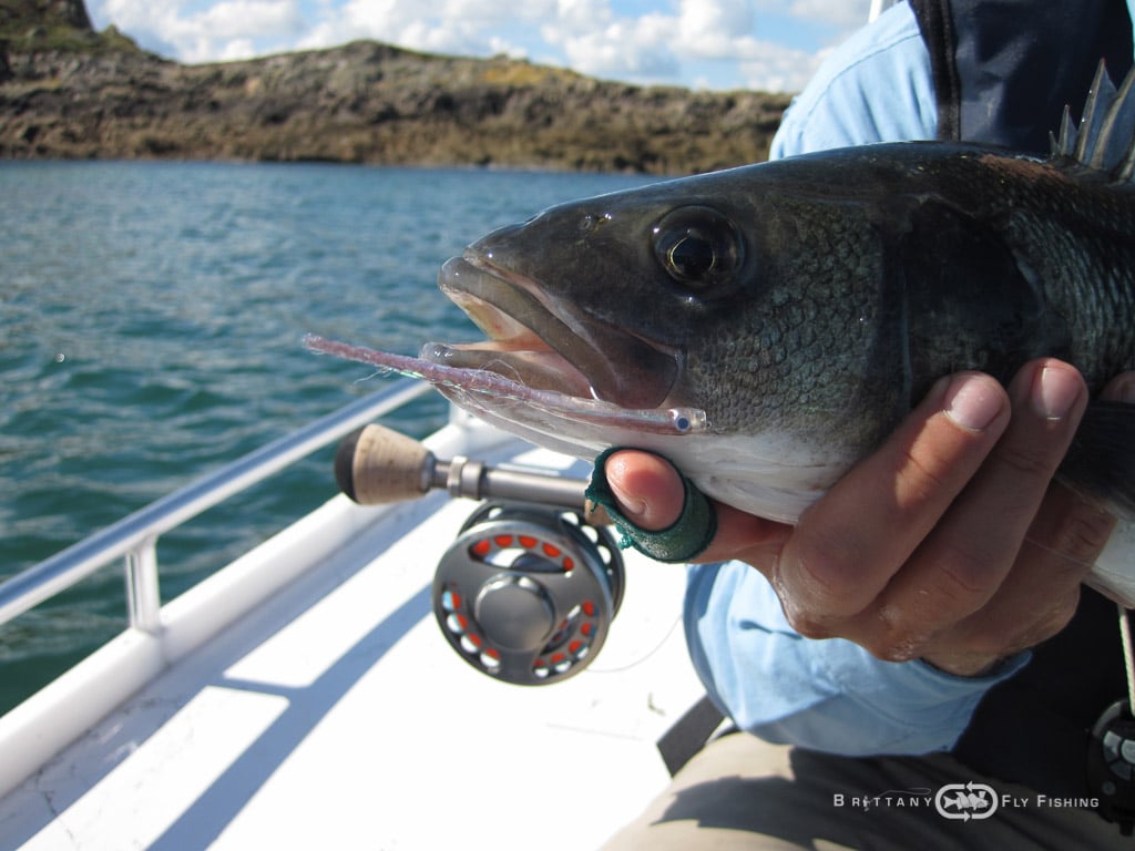 Baie-de-Morlaix-Brittany-Fly-Fishing-2