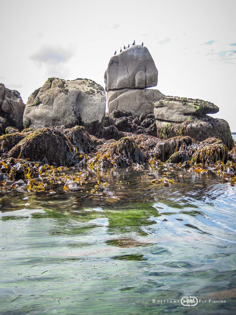 Baie-de-Morlaix-Brittany-Fly-Fishing-4