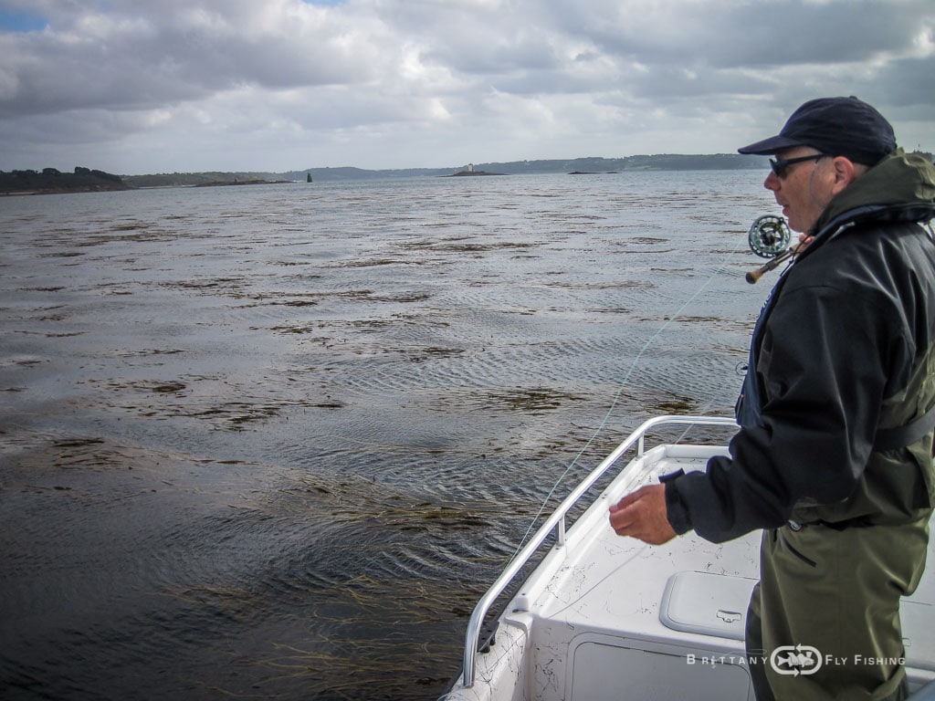 Baie-de-Morlaix-Brittany-Fly-Fishing-7