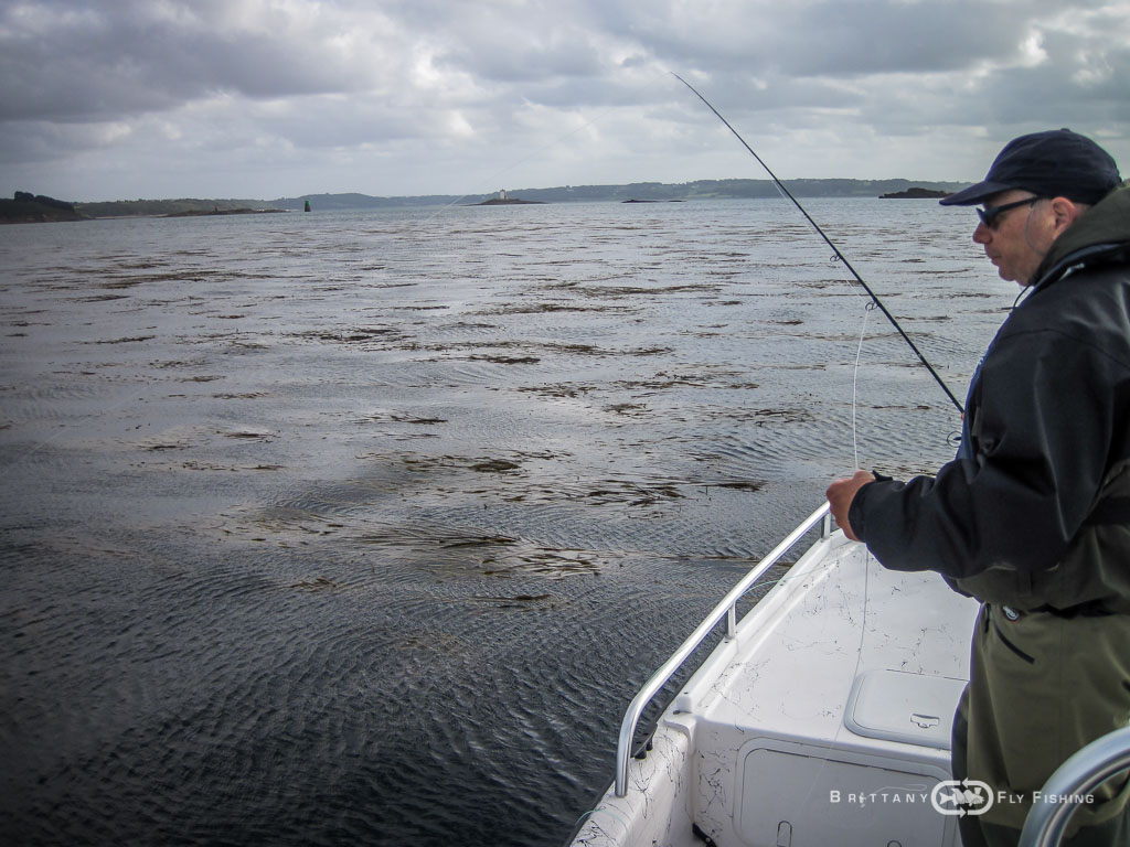 Baie-de-Morlaix-Brittany-Fly-Fishing-8