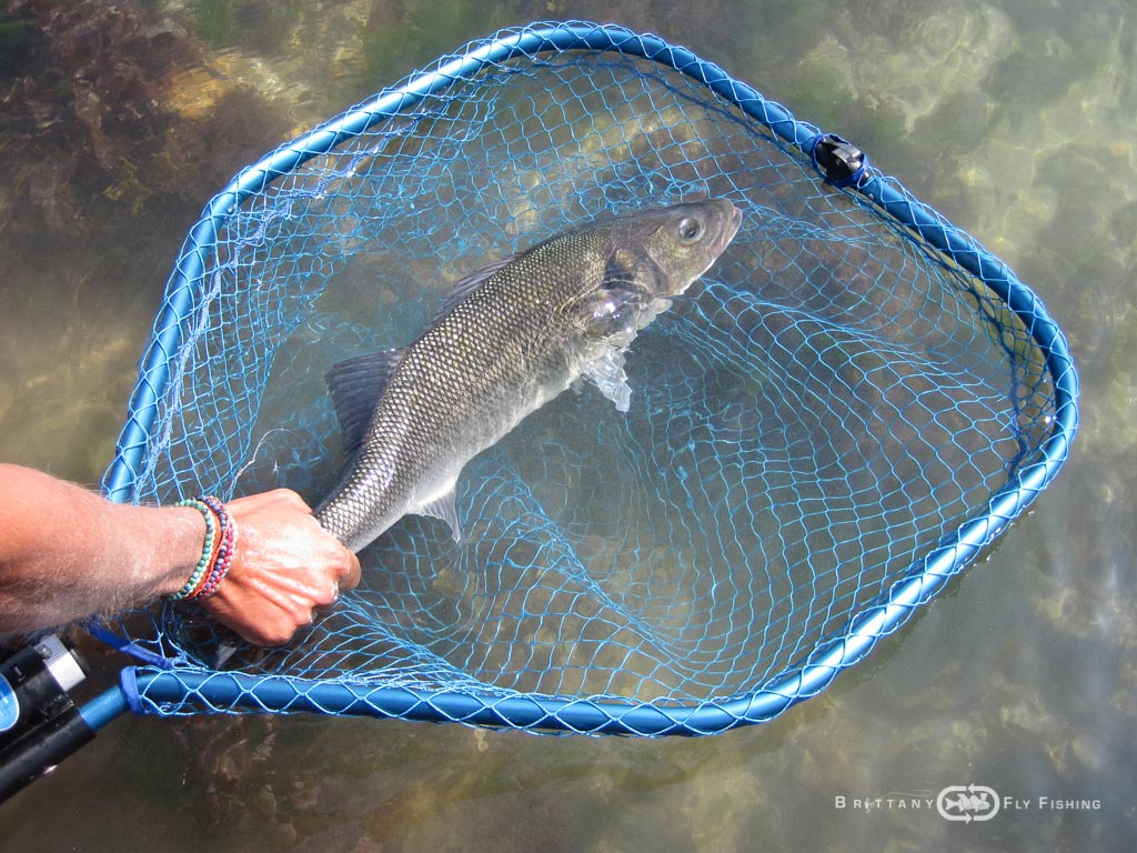 Baie-de-Morlaix-Brittany-Fly-Fishing-9