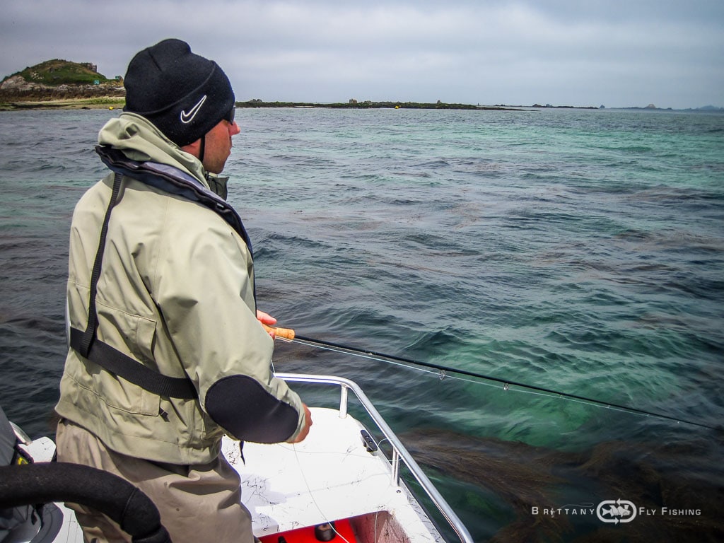 Bars-Mouche-Morlaix-BrittanyFlyFishing-8