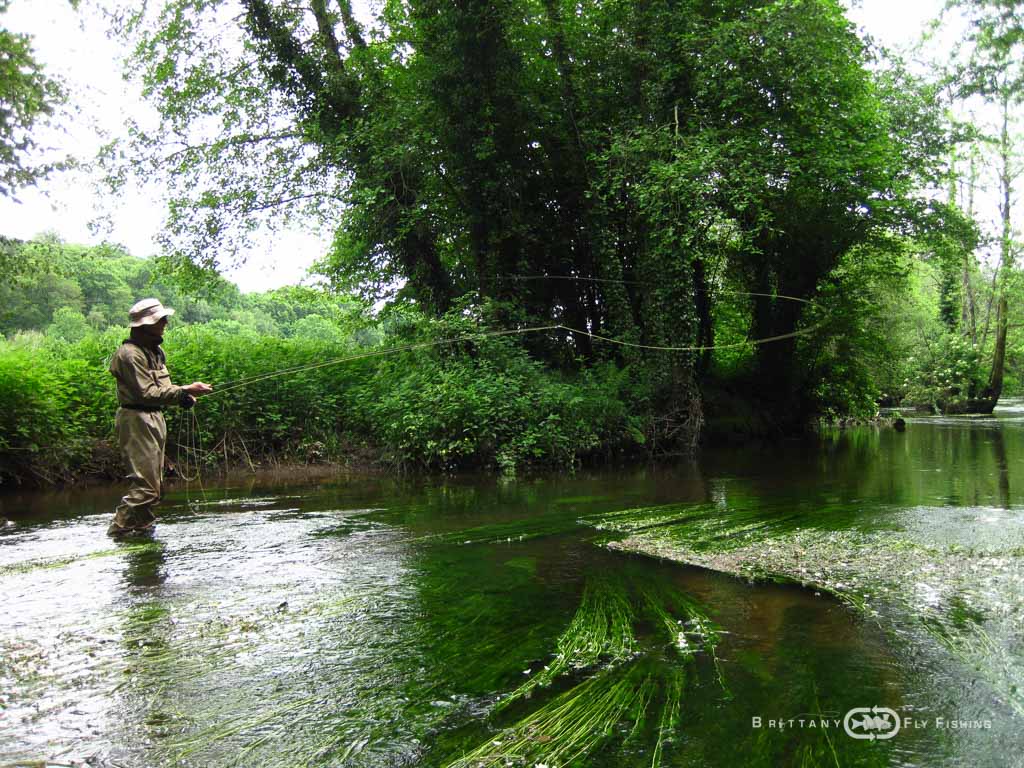 Fliegenfischer-Guide-Brittany-Fly-Fishing-10