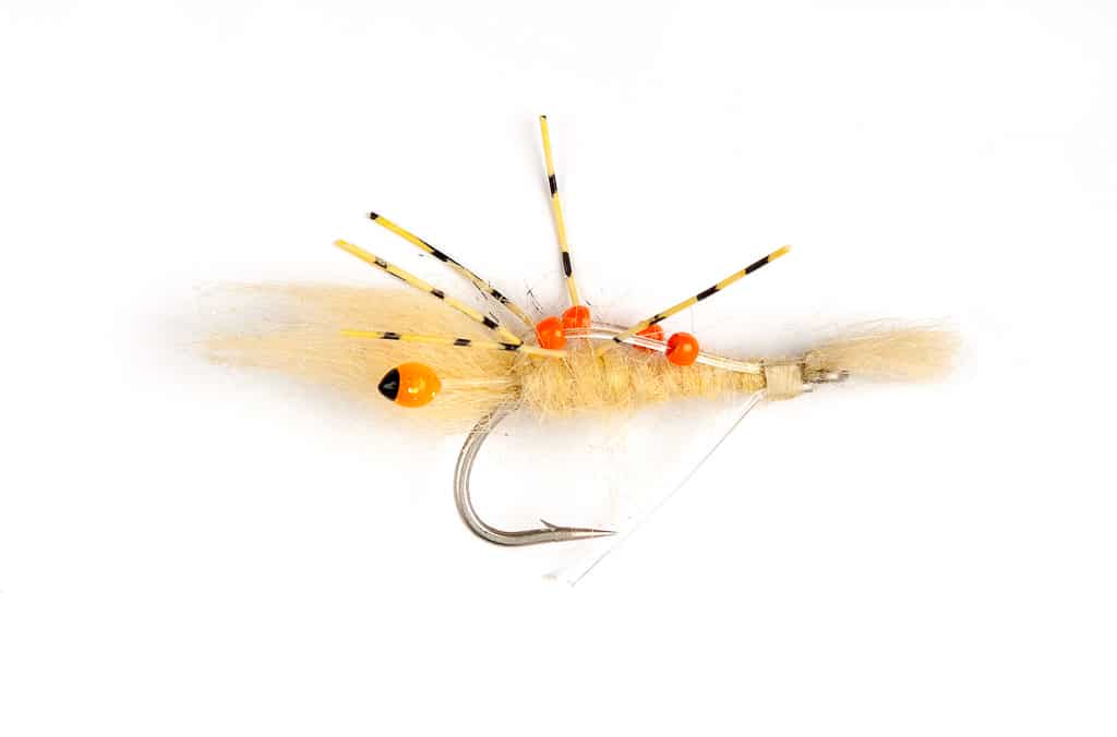 Mouches-Fulling-Mill-Brittany-Fly-Fishing-3