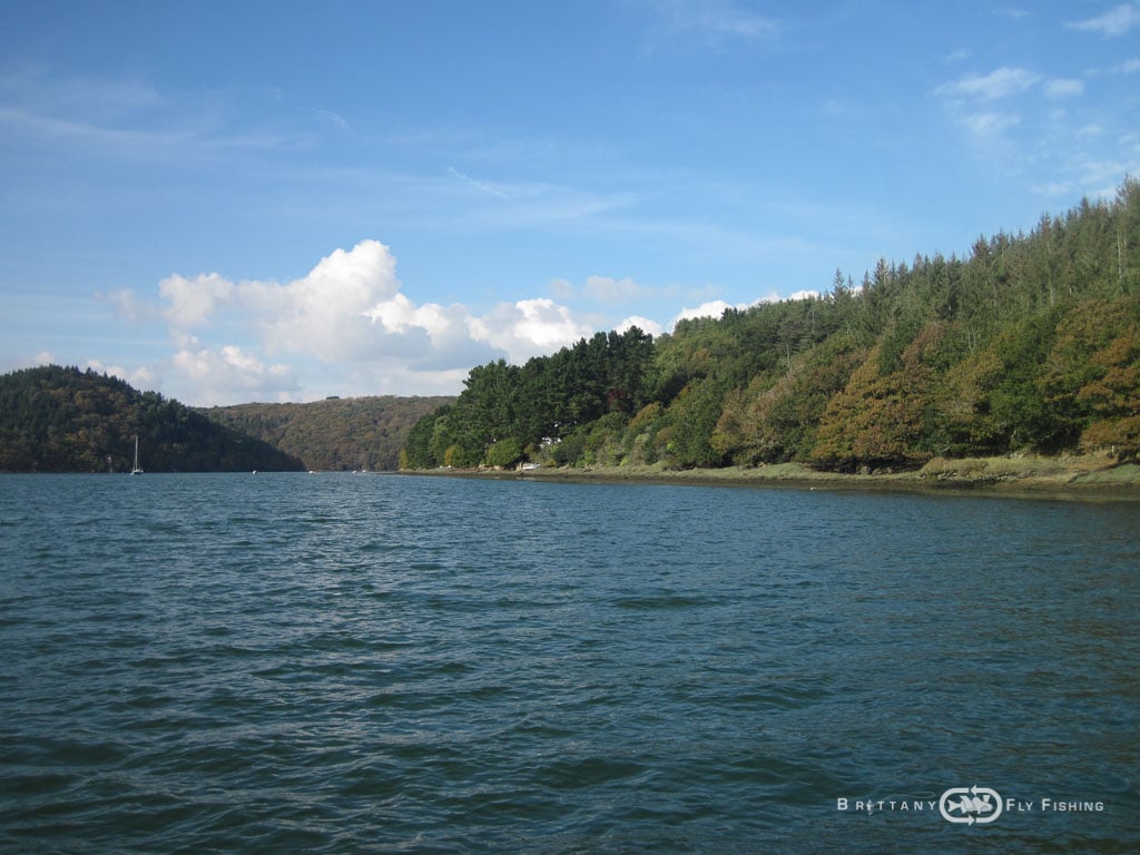 Peche-bar-entre-amis-Brittany-Fly-Fishing-14