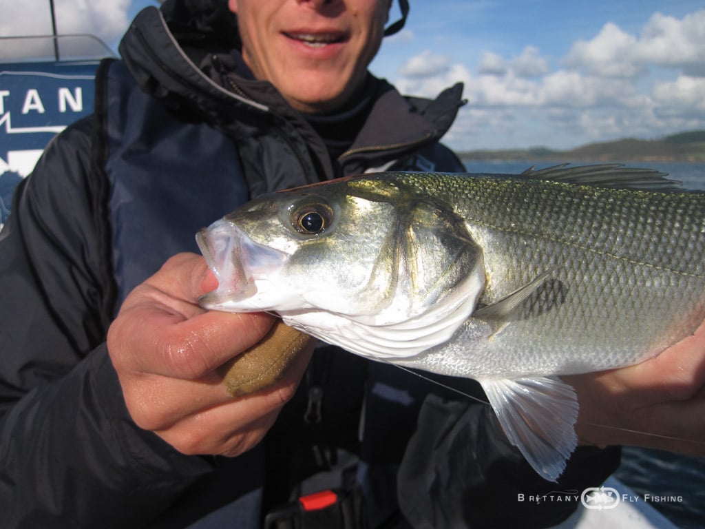 Peche-bar-entre-amis-Brittany-Fly-Fishing-17