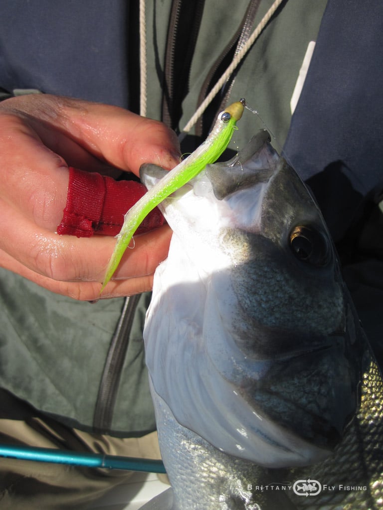 Peche-bar-entre-amis-Brittany-Fly-Fishing-21