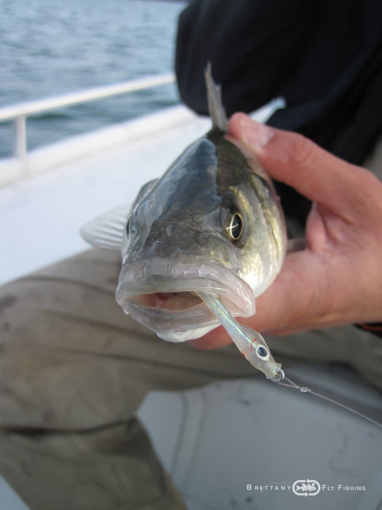 Peche-bar-entre-amis-Brittany-Fly-Fishing-7