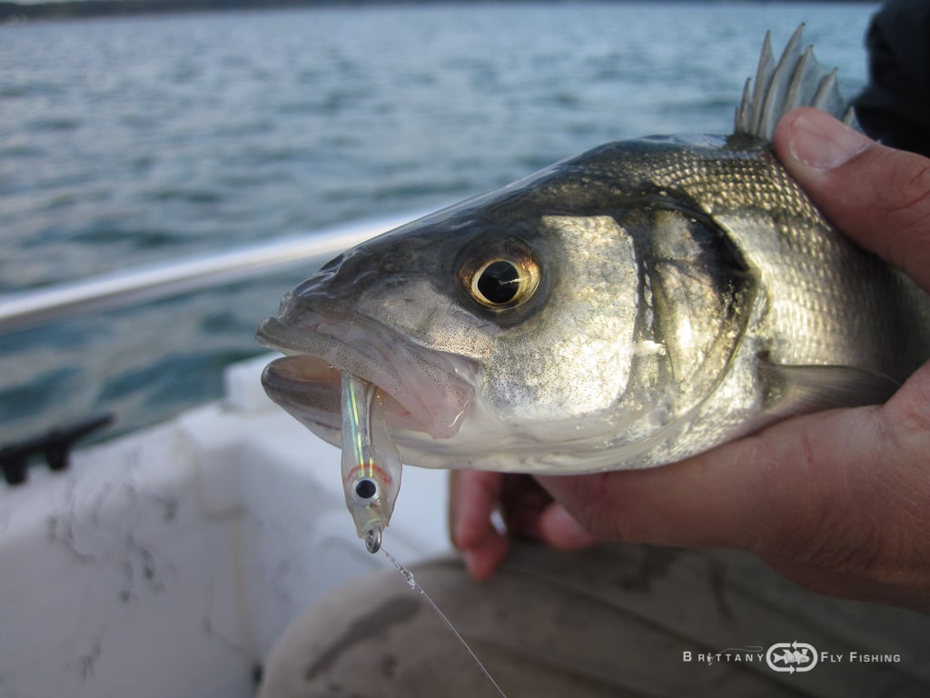 Peche-bar-entre-amis-Brittany-Fly-Fishing-8