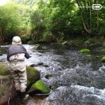 Pêche à la mouche en Bretagne