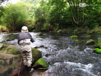 peche-a-la-mouche-en-bretagne2