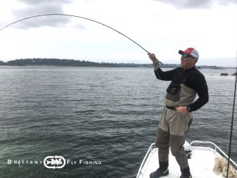 Pêche du bar à la mouche en Baie de Morlaix