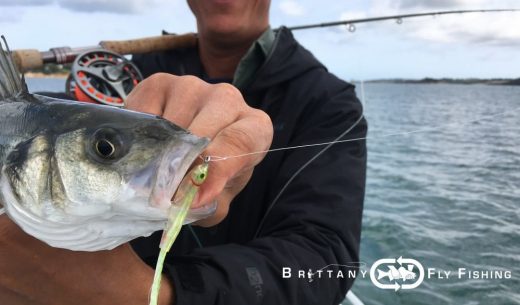 Guide de pêche au bar à la mouche