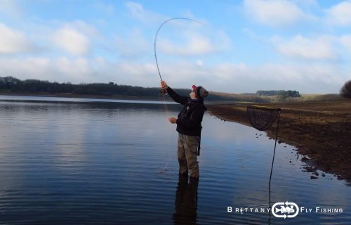 Pêche à la mouche du bord