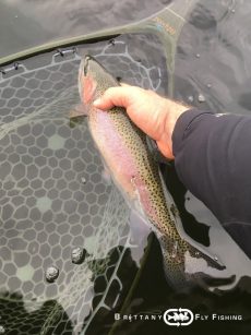 Pêche de la truite à la mouche Pêche de la truite à la mouche