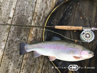 Pêche à la mouche en Bretagne