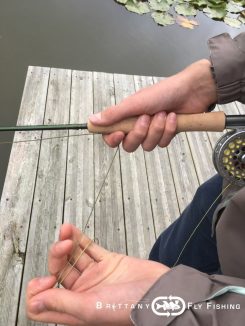Apprendre à pêcher à la mouche