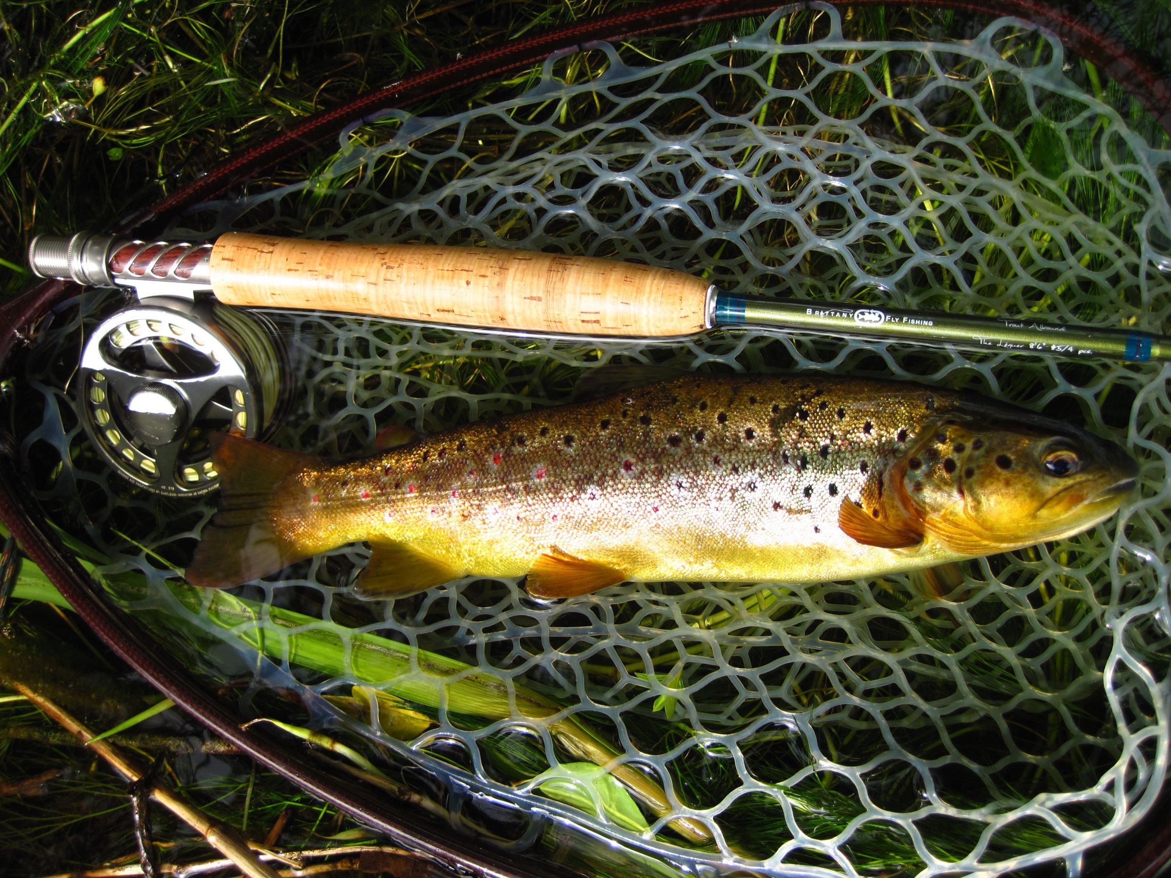 Freshwater fly fishing tackle