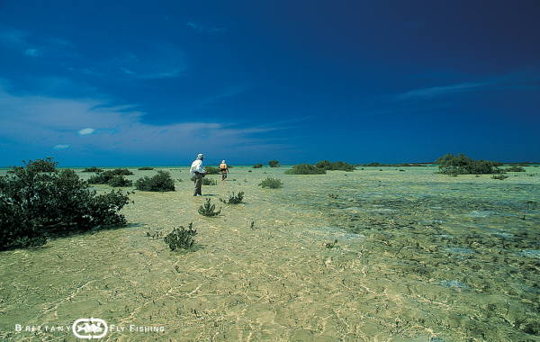 01-bahamas-saltwater-voyage-fly-fishing-bonefish
