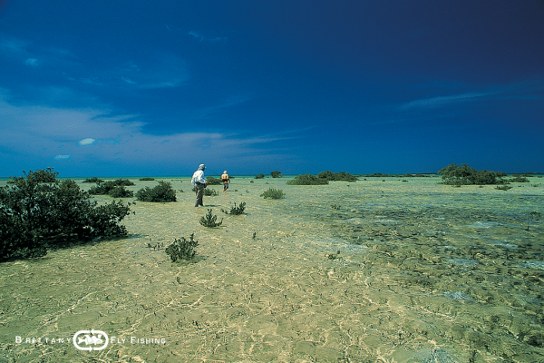 01-bahamas-saltwater-voyage-fly-fishing-bonefish
