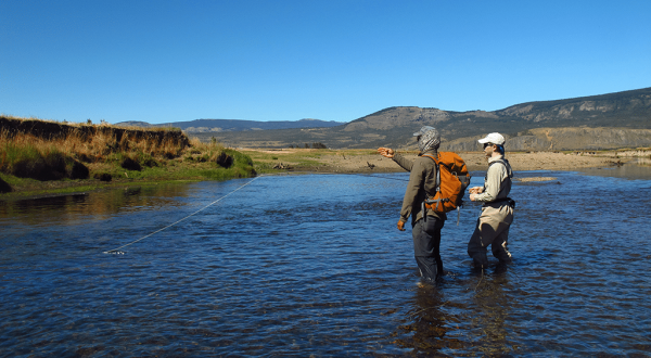 01-chili-chile-patagonia-voyage-fly-fishing-brown-trout