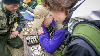 Initiation à la pêche de la truite à la mouche