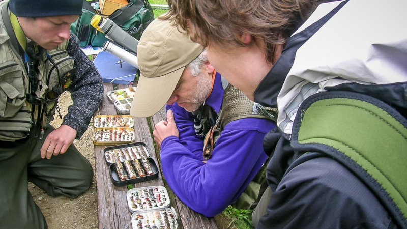 Trout fly fishing tuition