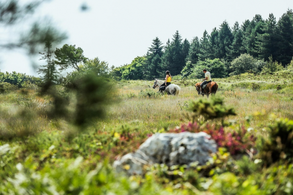 Fete de l’ Equibreizh et Finistours 2014