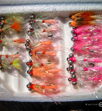 Pêche de l’Alose sur le Blavet | Brittany Fly Fishing Pêche de l’Alose sur le Blavet | Brittany Fly Fishing