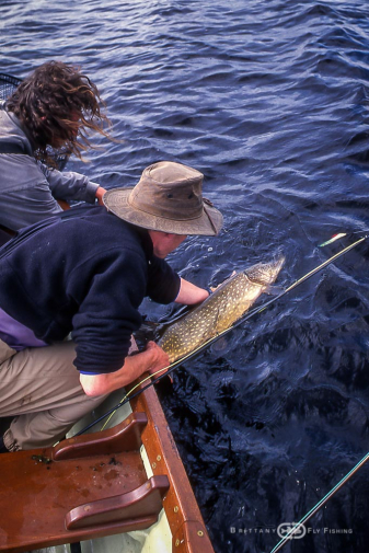 Pêche du brochet à la mouche | Brittany Fly Fishing