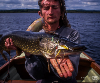 Pêche du brochet à la mouche | Brittany Fly Fishing