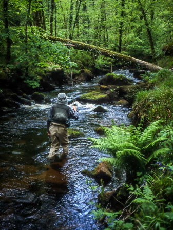 Pêche à la mouche sur l’Aulne Rivière | Brittany Fly Fishing