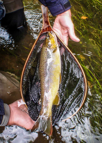 Pêche à la mouche sur l’Elorn | Brittany Fly Fishing